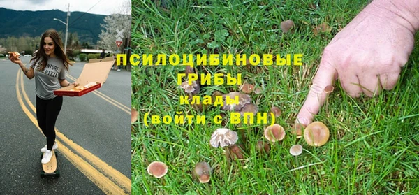гидропоника Володарск