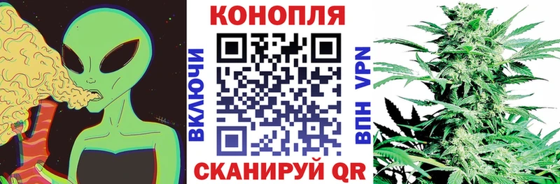 Купить закладки  Киренск  Марихуана THC 21% 